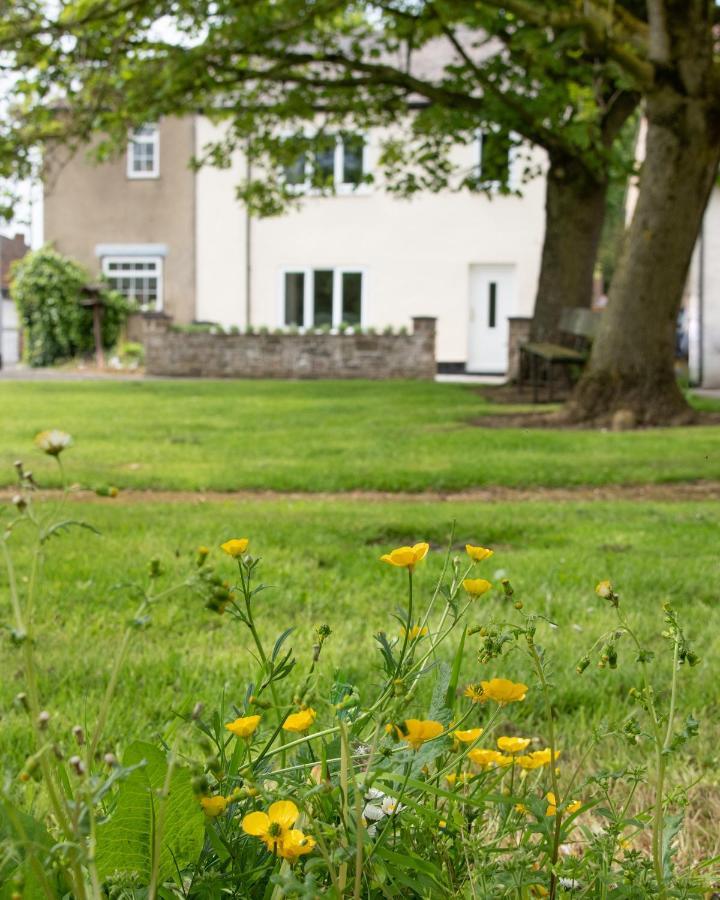 Work And Relax - Fast Wifi, Fireplace & Near Pub Newton Aycliffe Eksteriør bilde