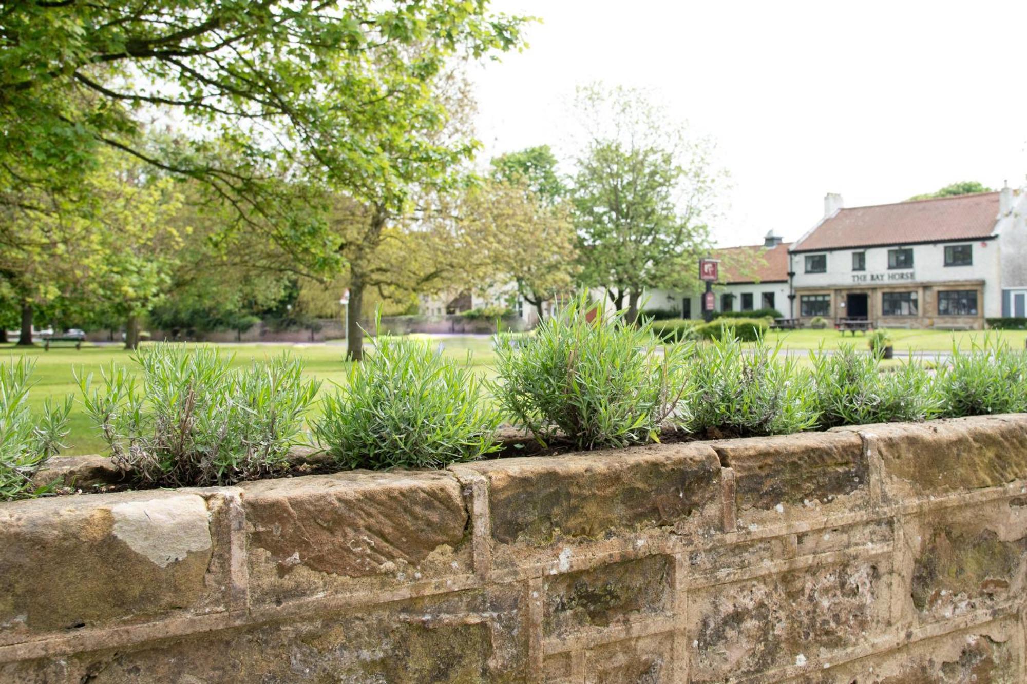 Work And Relax - Fast Wifi, Fireplace & Near Pub Newton Aycliffe Eksteriør bilde