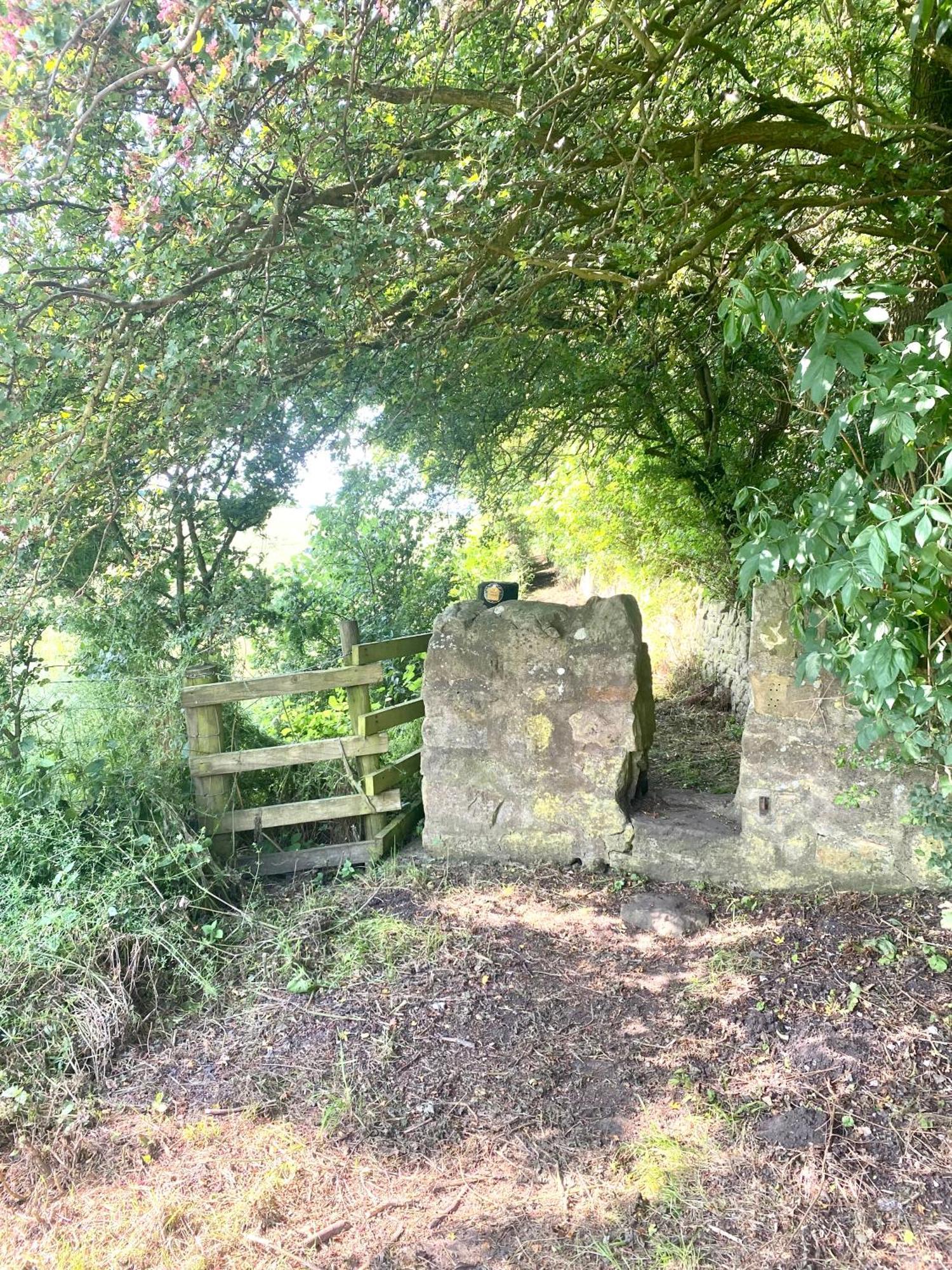 Work And Relax - Fast Wifi, Fireplace & Near Pub Newton Aycliffe Eksteriør bilde